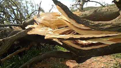 MORTUGABA- Ventos fortíssimos e granizo derrubam construção e árvores na comunidade do Canto em Mortugaba - VÍDEO