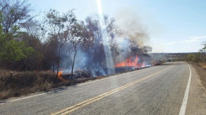 BA-263: Combinação de matos secos das margens e sol estão causando vários incêndios