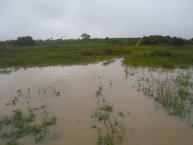 Condeúba e região: Barragens começam a subir o nível e rios aumentam correnteza após chuvas