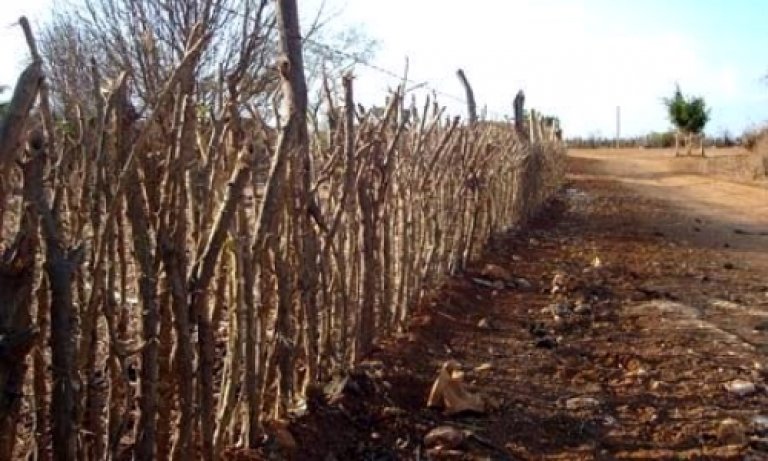 Jovem é encontrado morto e pendurado em cerca da zona rural