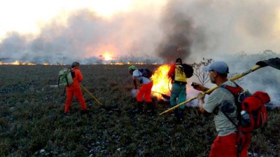 Incêndio na Chapada Diamantina está fora de controle, diz Parque