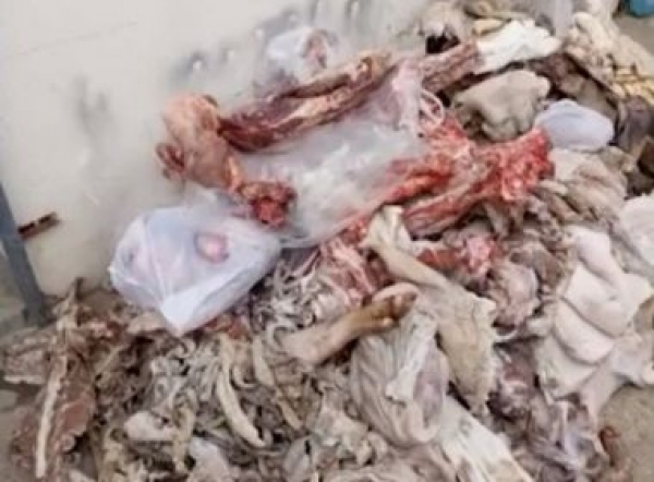 Belo Campo: Cerca de duas toneladas de carne imprópria para consumo são apreendidas