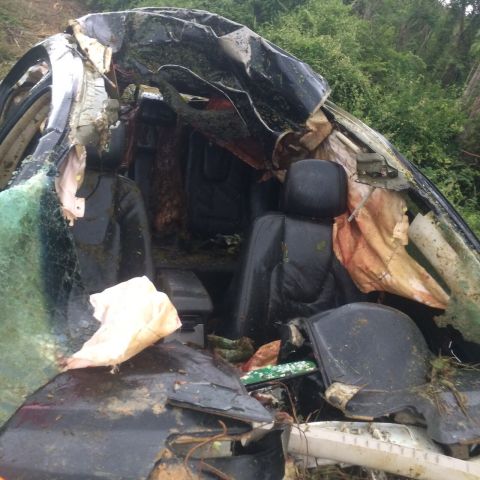 BA-263: Carro fica destruído após colidir com animais no trecho entre Belo Campo e BR-116